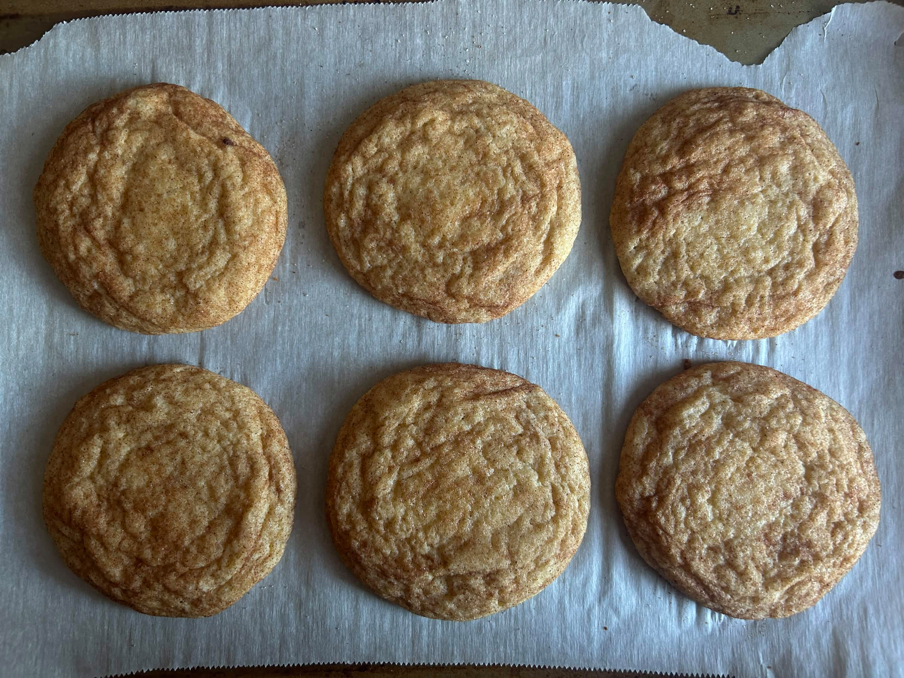 Snickerdoodle